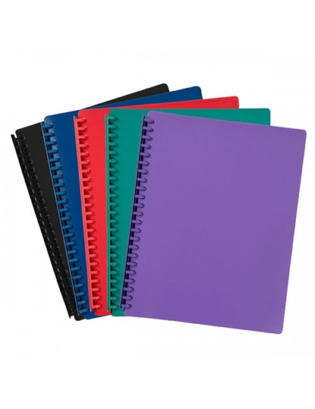 PENTA DISPLAY BOOK A4 100PKTS ASS CLRS